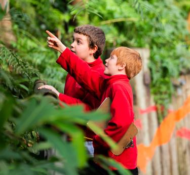 School kids exploring the Rainforest Biome